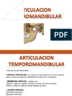 Articulacion Temporomandibular