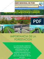 Plantaciones Forestales