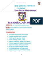 Micosis y micosis subcutáneas