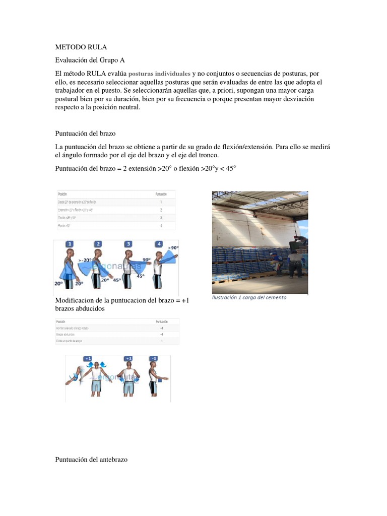 METODO RULA y REBA | PDF | Enseñanza de matemática | Naturaleza