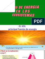 05 Flujo de energia en los ecosistemas.pdf