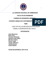 DEGRADACIÓN-DEL-SUELO-CASO-TIPO.docx