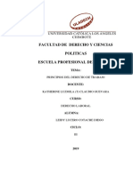 Derecho Laboral - Principio PDF