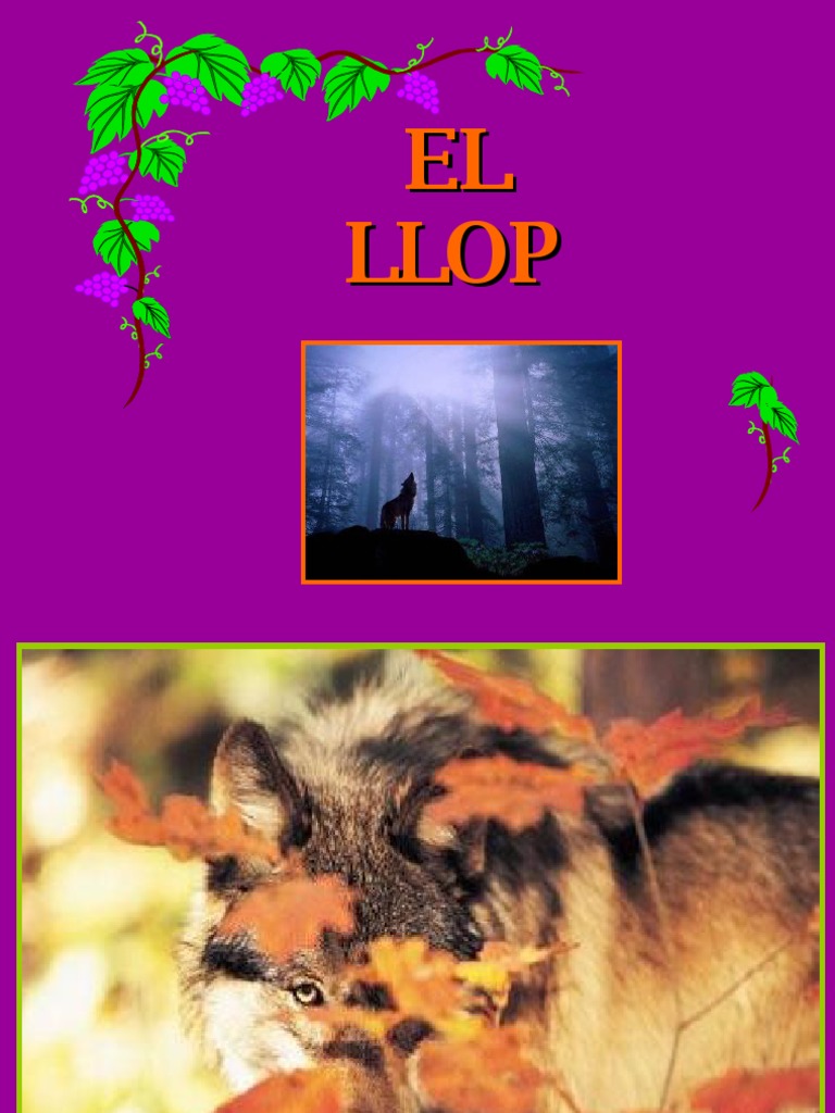 Llop 1206469092338899 2 PDF PDF