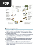 Niveles de Organización de La Materia