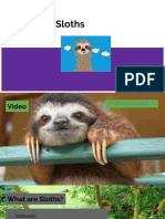 Sloth Powerpoint