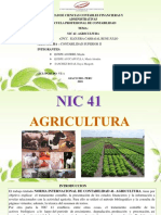 Nic 41 - Agricultura