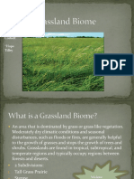 Grassland