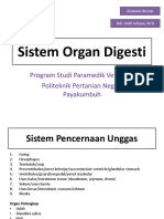Sistem Organ Digesti