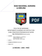 Informe - Propagacion Huayruro