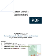Sistem Urinalis PDF