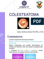 Colesteatoma 170105084017 PDF