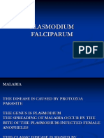 Pl. falciparum.pptx