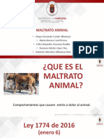 Maltrato Animal