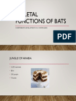 Skeletal Functions of Bats