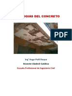 Tema 08 - Patologia Del Concreto PDF