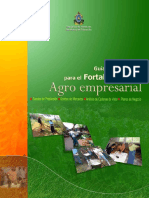 Guia Metodologica para El Fortalecimiento Agro Empresarial