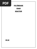 Bio Project-Polymerase Chain Reaction