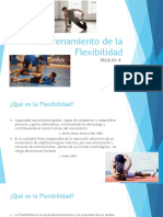 Personal Trainer Módulo 4 Entrenamiento de La Flexibilidad PDF