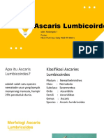 Ascaris Lumbricoides