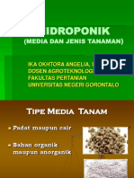 Hidroponik