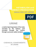 Metabolism-LabCon.pdf