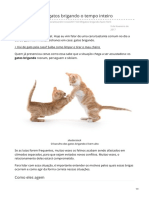 Como Lidar Com Gatos Brigando o Tempo Inteiro PDF