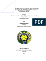 1 PB PDF