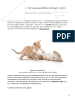 canaldopet.ig.com.br-Como acostumar o felino com um filhote de gato recém-chegado.pdf