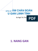 Siêu Âm U Lành Tính Gan