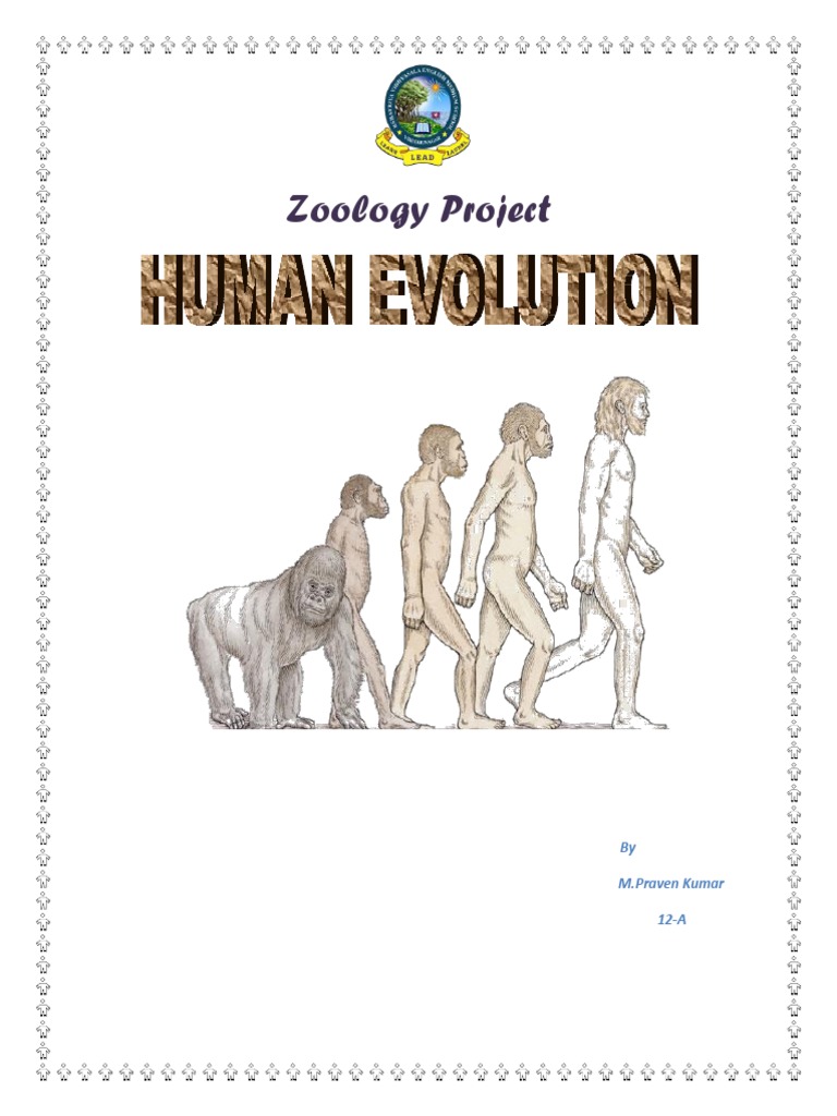 Human Evolution Project Overview | PDF | Homo | Human Evolution