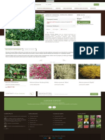 Arbust Deutzia Crenata Nikko - GardenExpert PDF