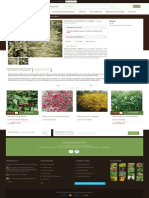 Matura Praecox 'Albus' - GardenExpert PDF