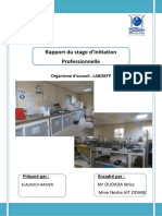 Rapport du stage LABOBTP.pdf