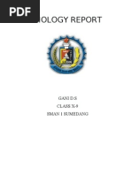 Download 22702245-laporan-biologi-2 by Ns Satu SN43878767 doc pdf
