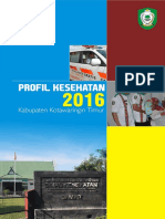 Profil Kesehatan Kotim 2016 PDF