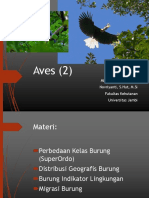 4 Aves PDF