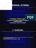 Curs 18 Icter PDF