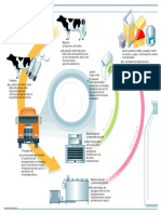 Ciclo de Vida de La Leche PDF