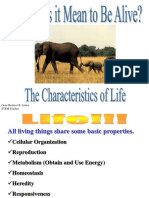 Characteristics of Life - New