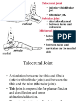 Foot and ankle joint anatomy
