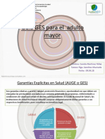 Guía GES para El Adulto Mayor