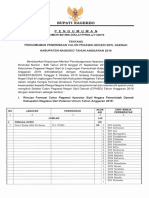 Formasi CPNSD Kabupaten Nagekeo Tahun 2019 PDF