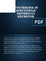 Sistemul Excretor