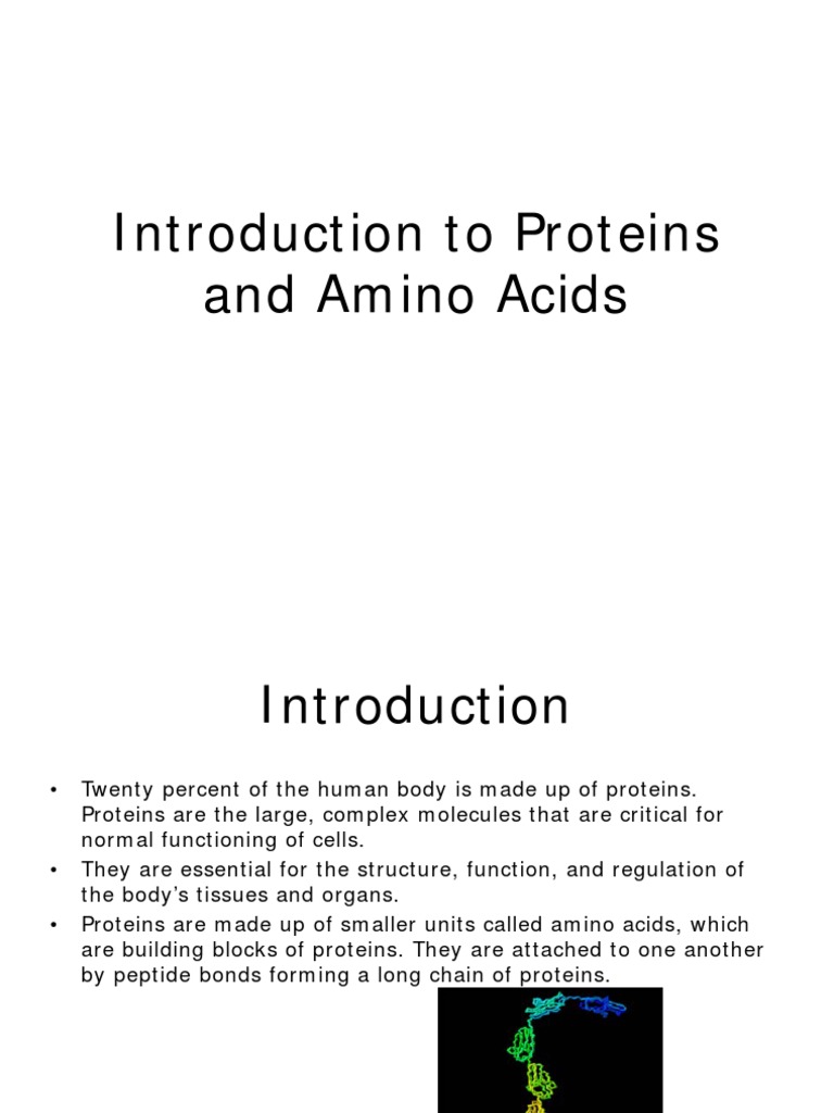 Introduction To Proteins and Amino Acids 571576 7 PDF | PDF ...