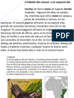 Caracol Gigante Africano en Familia.pdf