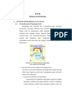 Anatomi Pergelangan Kaki PDF