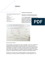 Ciclo Del Fósforo PDF