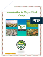 Introduction To Major Crop Fields