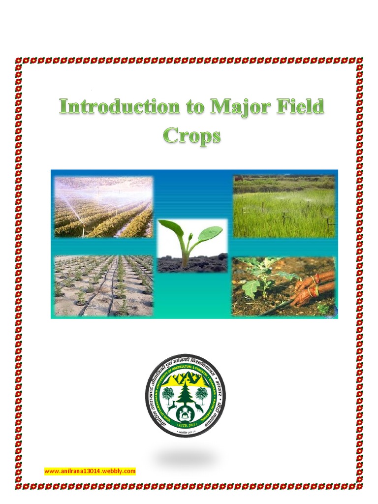 Introduction to Major Field Crops | PDF | Crop Rotation | Agriculture